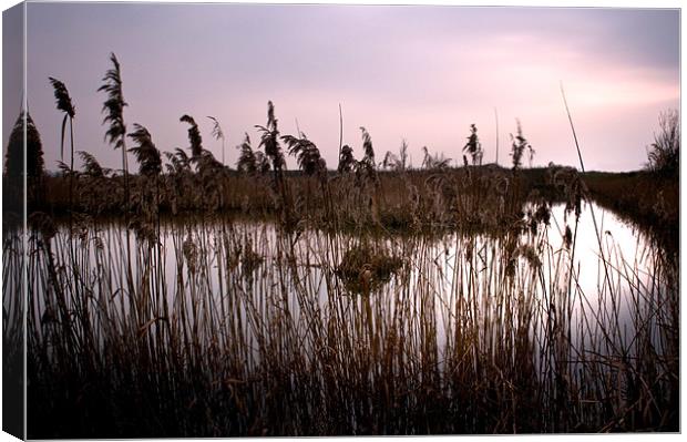 Fenland waterways near Ely. Now a nature reserve Canvas Print by Terry Pearce
