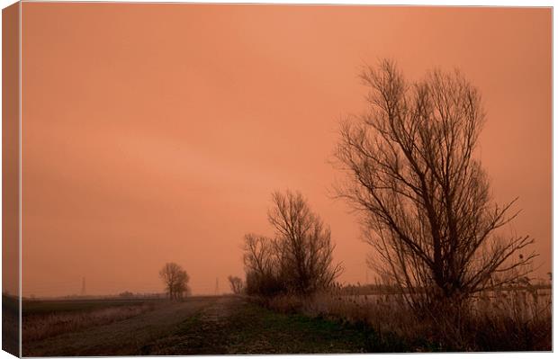 Fenland Drove on a dull day Canvas Print by Terry Pearce