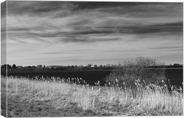 Fenland Scene - A black & white view Canvas Print by Terry Pearce