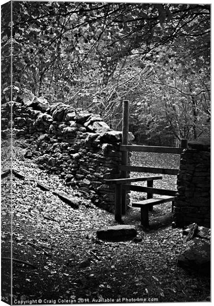 Stile in the woods Canvas Print by Craig Coleran