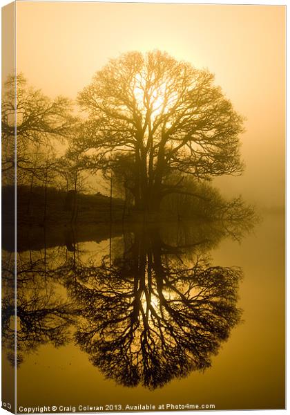 Sunrise and silhouettes Canvas Print by Craig Coleran