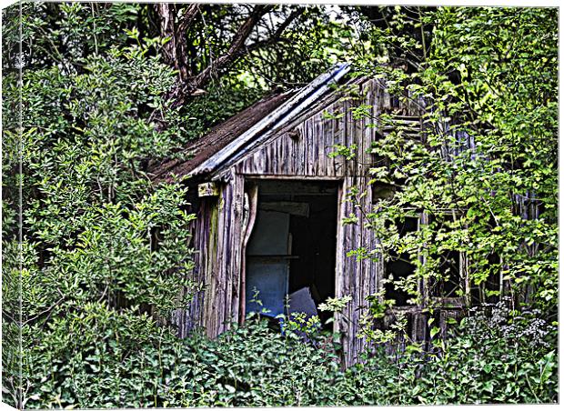 Woodcutters shed. Canvas Print by Peter Oak