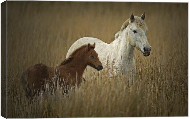 Mother and Daughter Canvas Print by Peter Oak