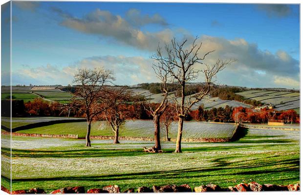 Countryside Landscape Canvas Print by Libby Hall