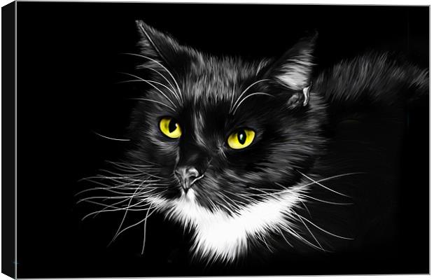 Domestic Black and White cat canvas print Canvas Print by Julie Hoddinott