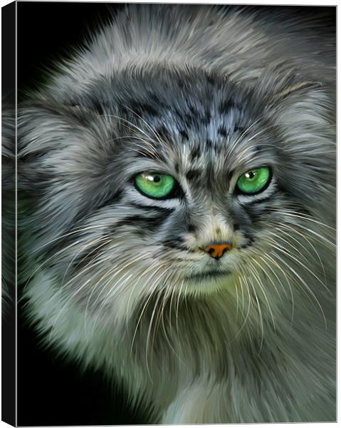 Pallas Cat Canvas Print by Julie Hoddinott