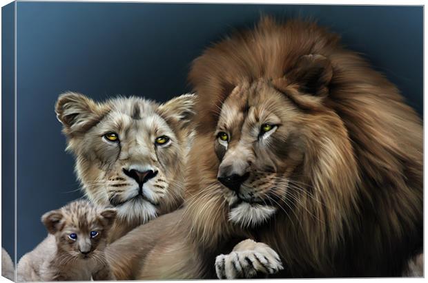 Lion Family Canvas Print by Julie Hoddinott