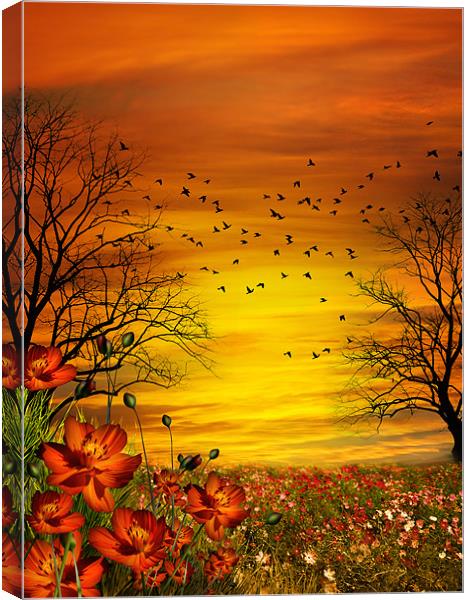 Orange Meadow Canvas Print by Julie Hoddinott