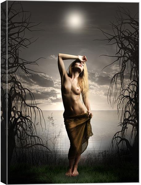 Moonlight Maiden Canvas Print by Julie Hoddinott