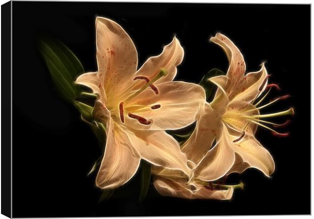 Star Lily Fractal Canvas Print by Julie Hoddinott