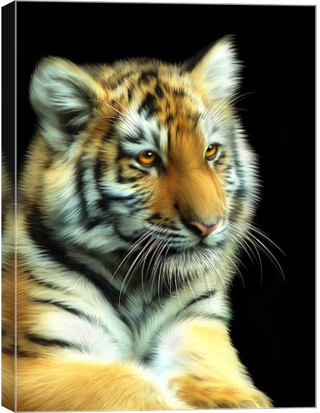 Tiger Cub Canvas Print by Julie Hoddinott