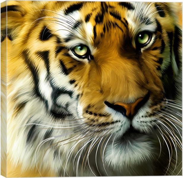 Sumatran Tiger Close Up Canvas Print by Julie Hoddinott