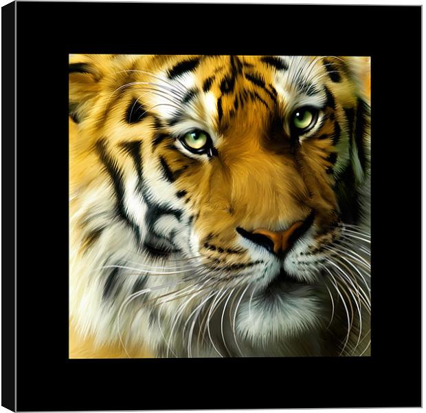 Sumatran Tiger Square portrait Canvas Print by Julie Hoddinott