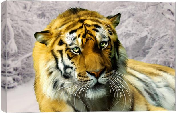 Sumatran Tiger in Snow Canvas Print by Julie Hoddinott