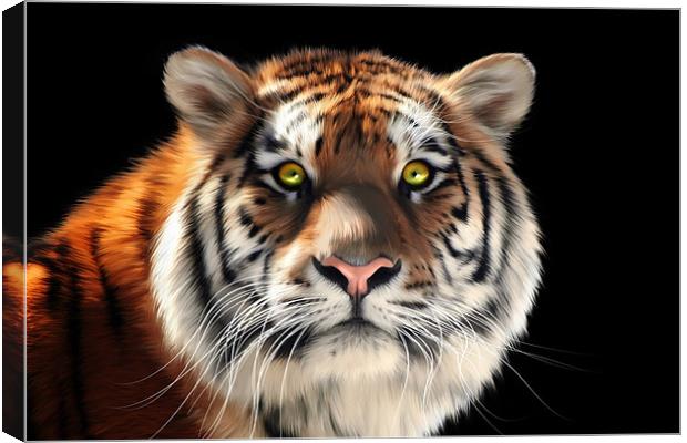 Siberian Tiger Canvas Print by Julie Hoddinott