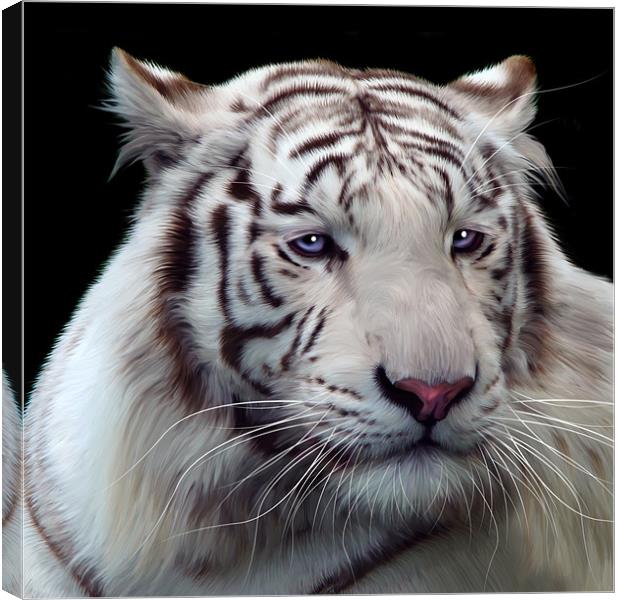 Royal Bengal White Tiger Canvas Print by Julie Hoddinott