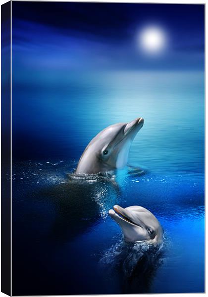 Dolphin Delight Canvas Print by Julie Hoddinott