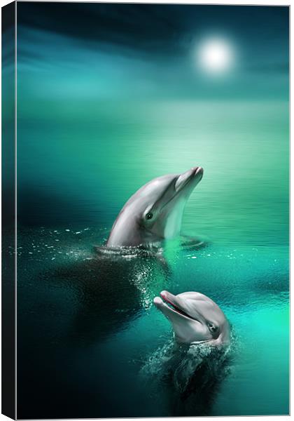 Delightful Dolphins Canvas Print by Julie Hoddinott
