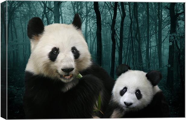 Woodland Giant Pandas Canvas Print by Julie Hoddinott