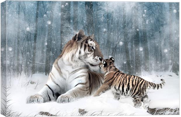 Kaiser Katrina and the Kiss Tiger Canvas Print Canvas Print by Julie Hoddinott
