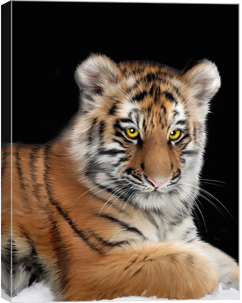Amur Tiger Canvas Print by Julie Hoddinott
