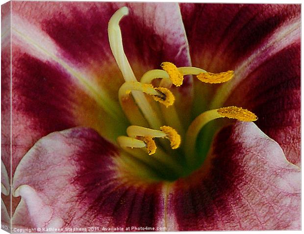 Lily Heart Canvas Print by Kathleen Stephens