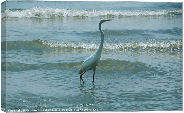 Egret In The Evening Canvas Print by Kathleen Stephens
