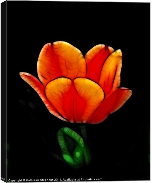 Two-Toned Tulip Canvas Print by Kathleen Stephens