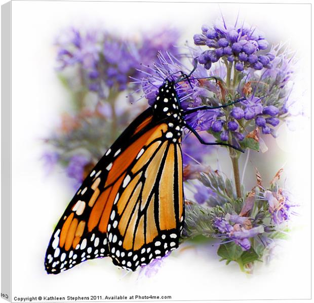 Monarch with Folded Wings Canvas Print by Kathleen Stephens