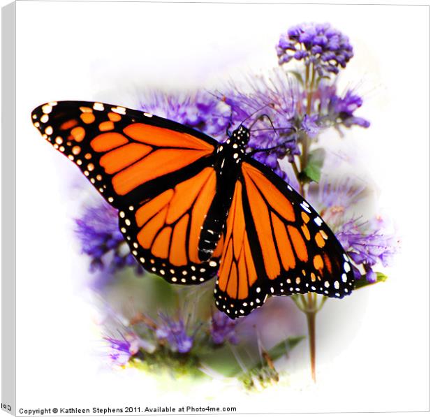 Monarch with Open Wings Canvas Print by Kathleen Stephens