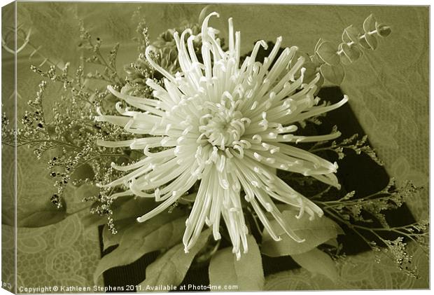Spider Mum in Sepia Canvas Print by Kathleen Stephens