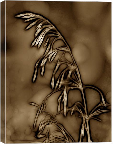 Wild Grass in Sepia Canvas Print by Kathleen Stephens