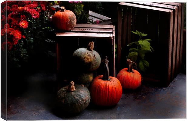 Autumn Squash Canvas Print by Kathleen Stephens