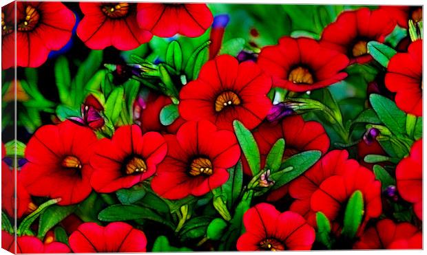 Garden Red Canvas Print by Kathleen Stephens