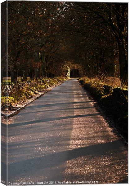 End of the Road Canvas Print by Keith Thorburn EFIAP/b