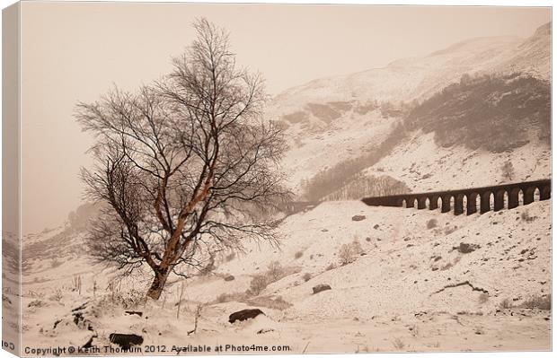 Winter Scene Canvas Print by Keith Thorburn EFIAP/b