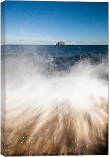 Bass Rock Waved Canvas Print by Keith Thorburn EFIAP/b