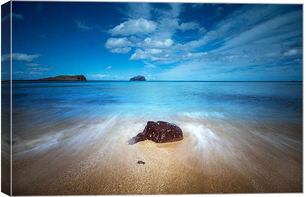 Bass Rock Canvas Print by Keith Thorburn EFIAP/b