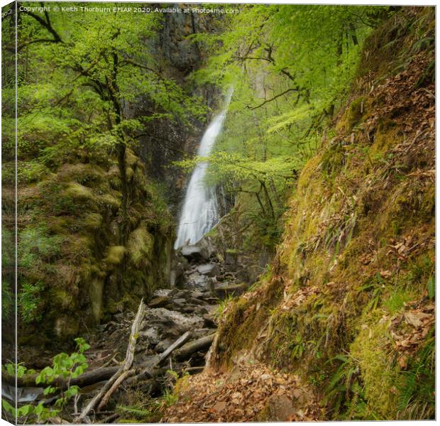 A waterfall in the forest Canvas Print by Keith Thorburn EFIAP/b