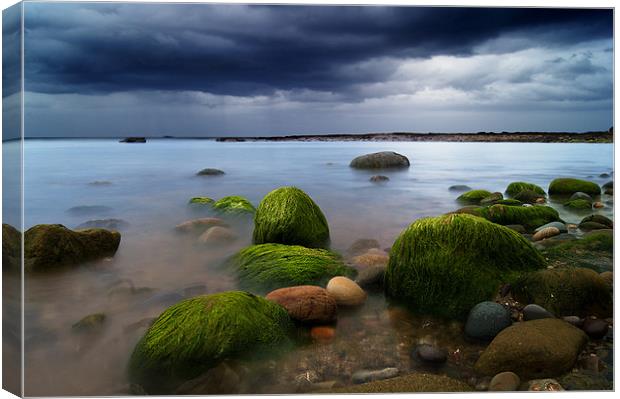 The Rain is There Canvas Print by Keith Thorburn EFIAP/b