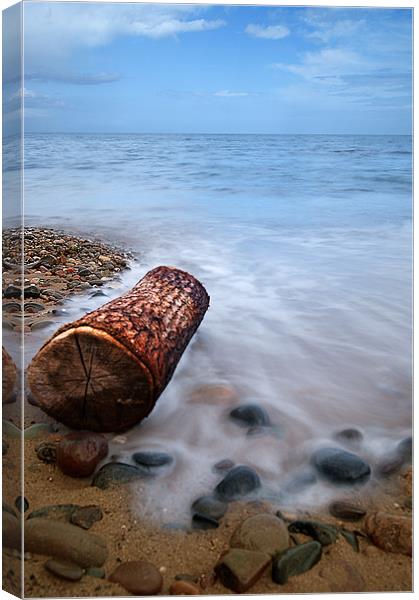 Drift wood beached Canvas Print by Keith Thorburn EFIAP/b