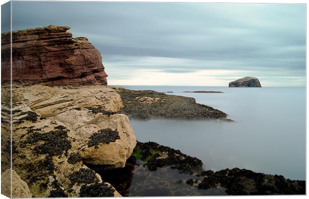 Bass Rock Canvas Print by Keith Thorburn EFIAP/b