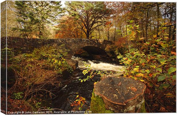 Autumn Splendour. Canvas Print by John Cameron
