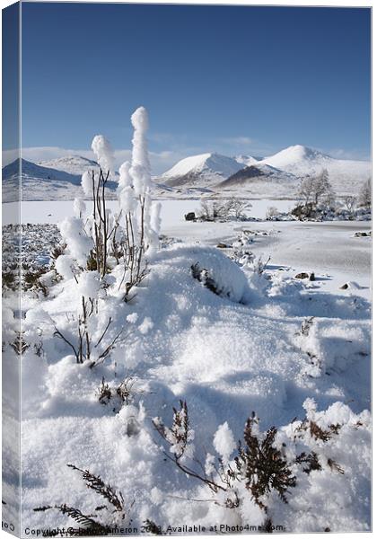 Winter in the Scottish Highlands. Canvas Print by John Cameron