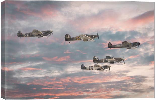 Fighters of the Battle of Britain Memorial Flight Canvas Print by J Biggadike