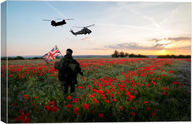 The Falklands War Tribute Canvas Print by J Biggadike