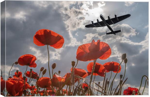 Lancaster Bomber Poppy Pass Canvas Print by J Biggadike