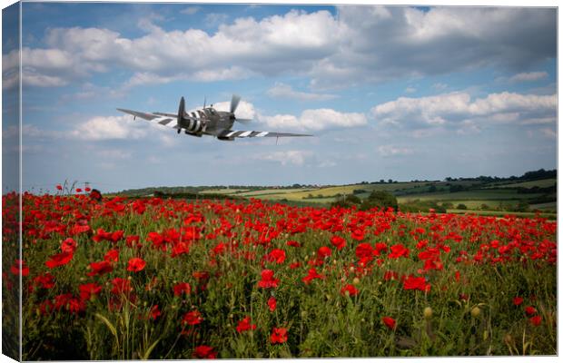 Spitfire The City of Exeter Canvas Print by J Biggadike