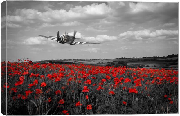 Spitfire The City of Exeter Poppy Fly Past - Selective Canvas Print by J Biggadike