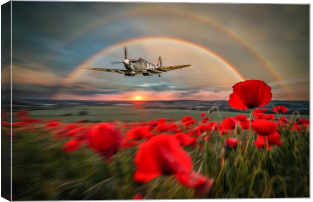 Spitfire MH434 Poppy Pass Canvas Print by J Biggadike